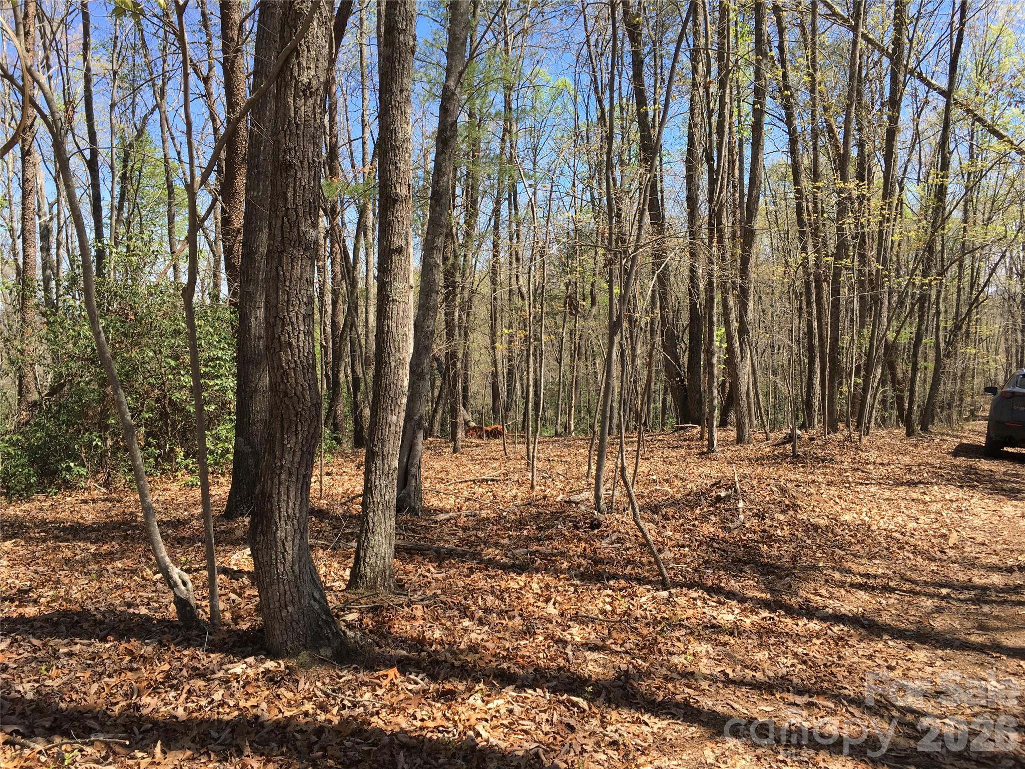 00 Lytle Mountain Road Marion NC 28752
