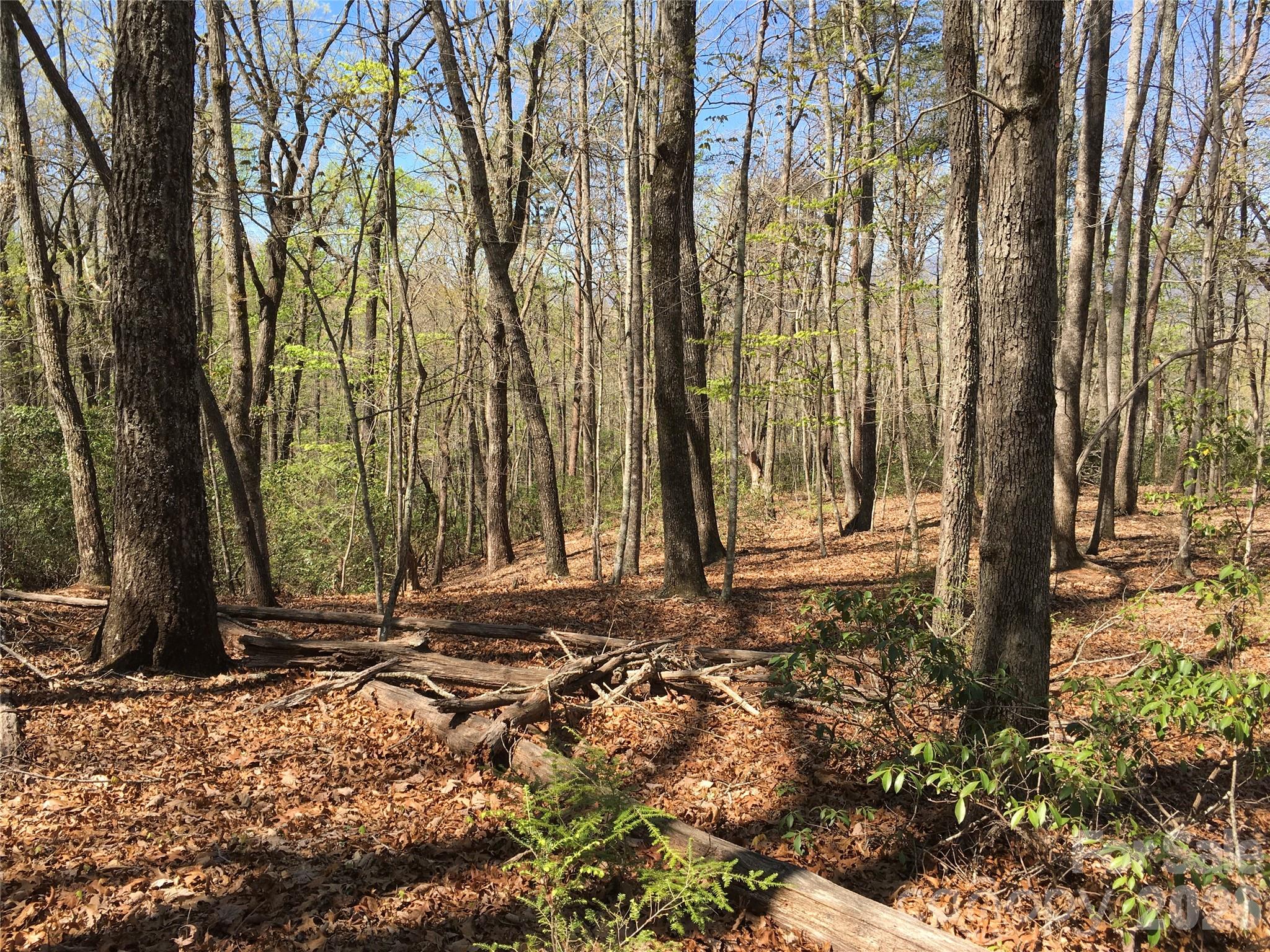 00 Lytle Mountain Road Marion NC 28752
