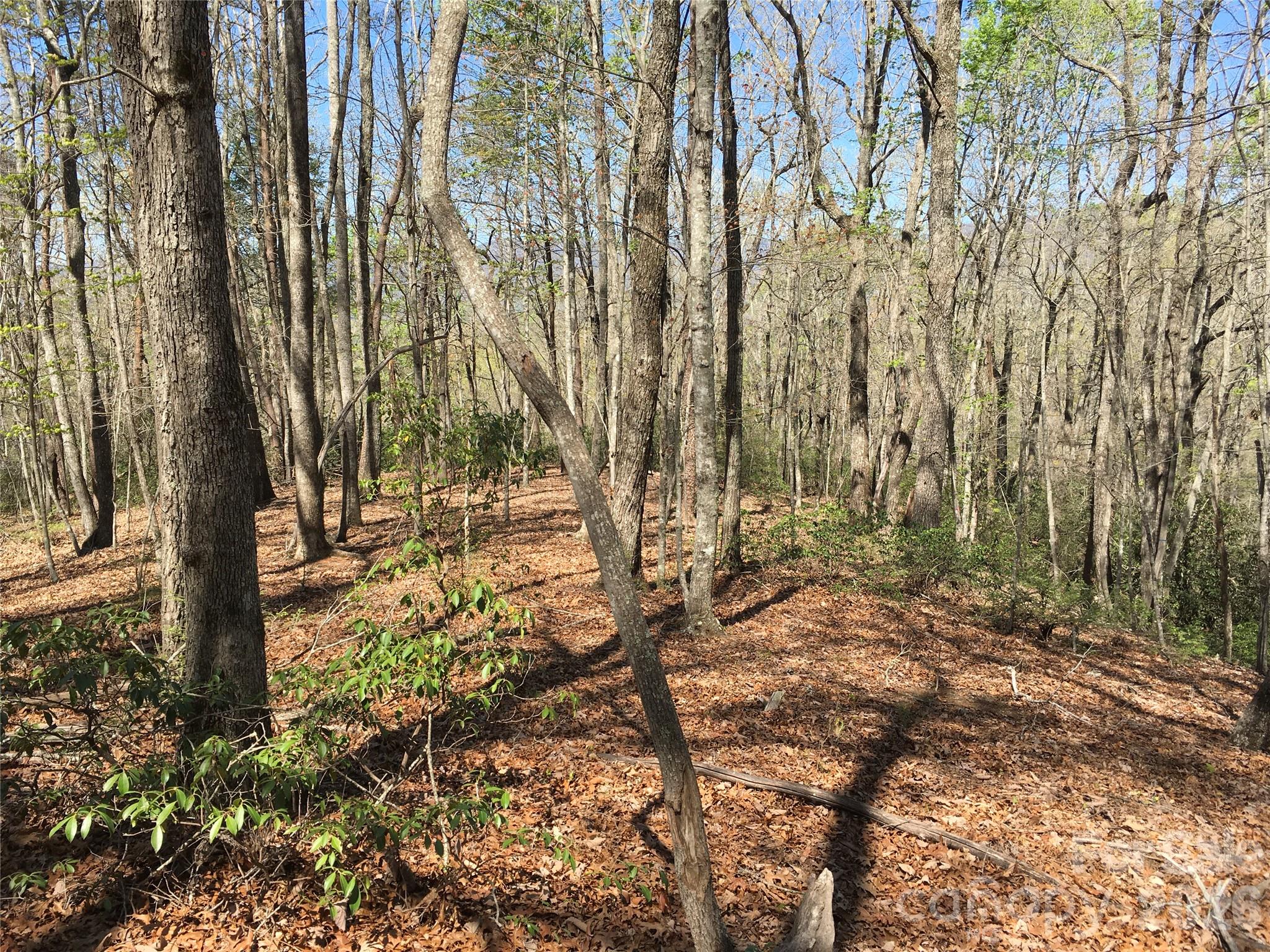 00 Lytle Mountain Road Marion NC 28752