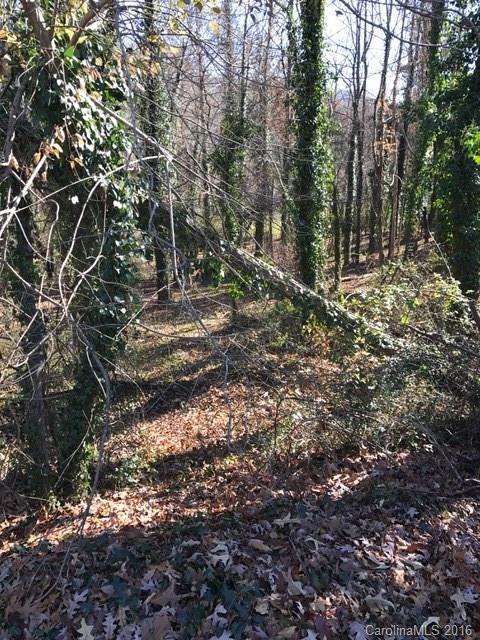 111 Tail Feather Lane Candler NC 28715