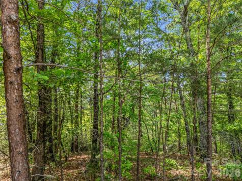 4 Woodward Drive Mill Spring NC 28756
