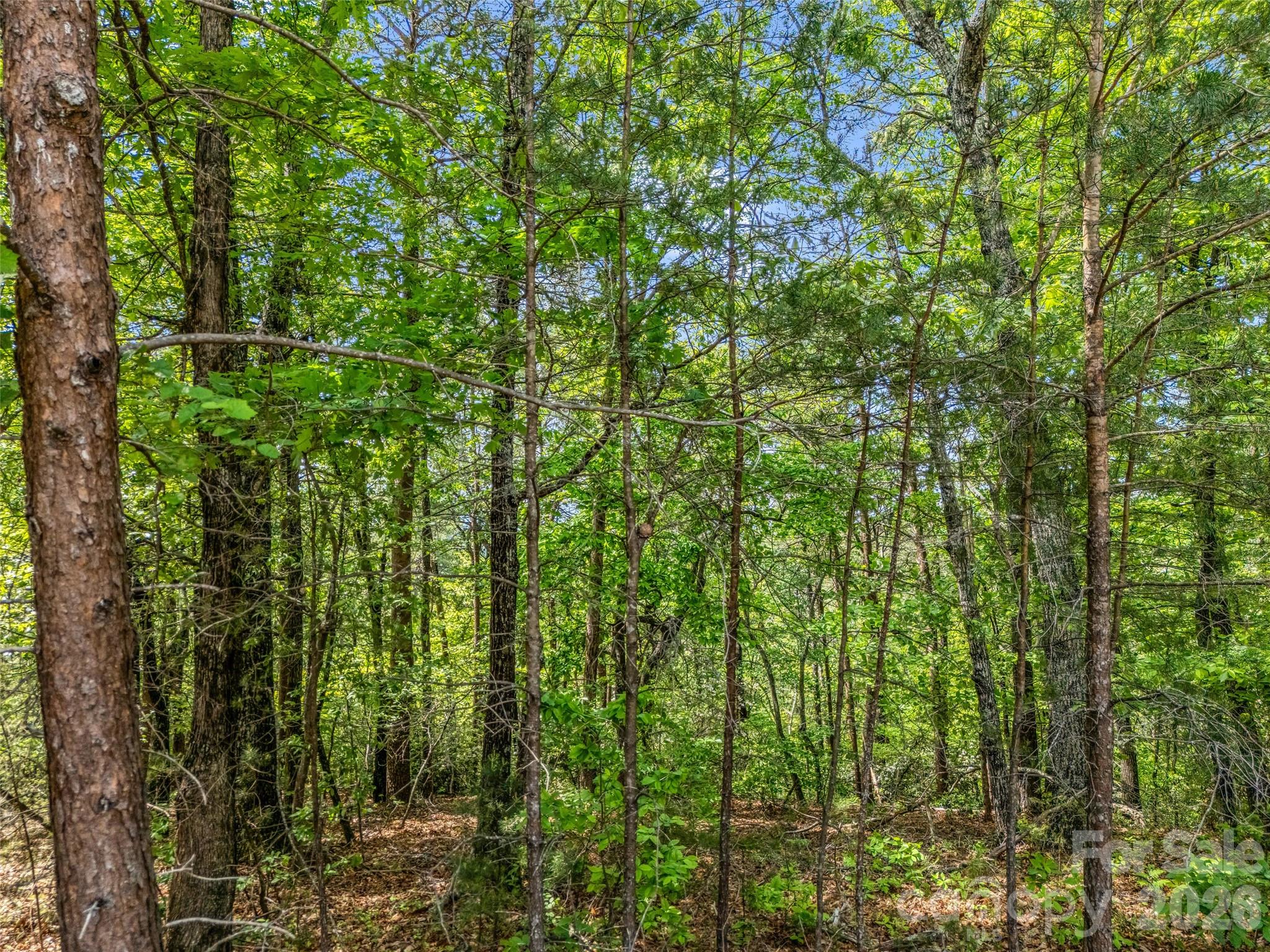 4 Woodward Drive Mill Spring NC 28756