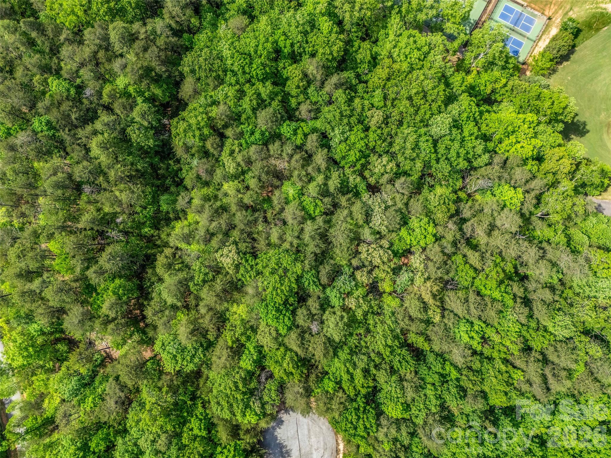 4 Woodward Drive Mill Spring NC 28756