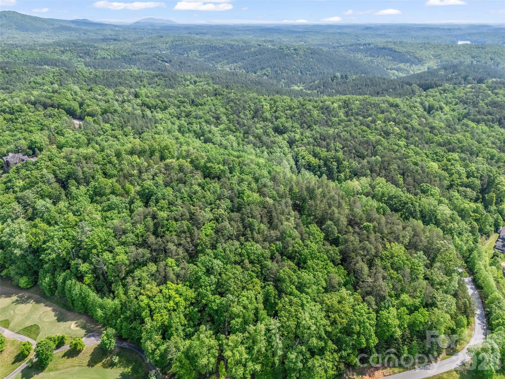 4 Woodward Drive Mill Spring NC 28756