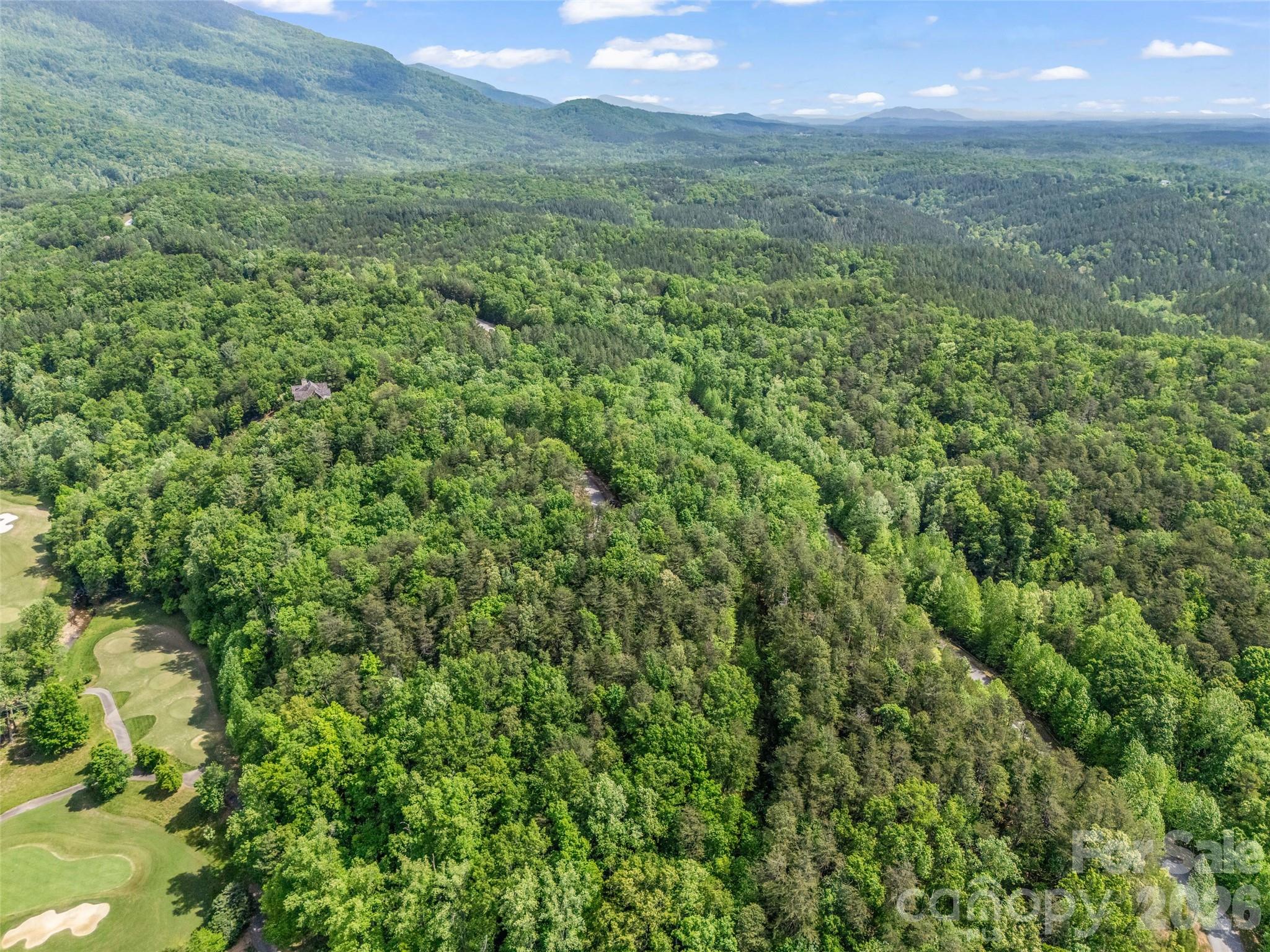4 Woodward Drive Mill Spring NC 28756