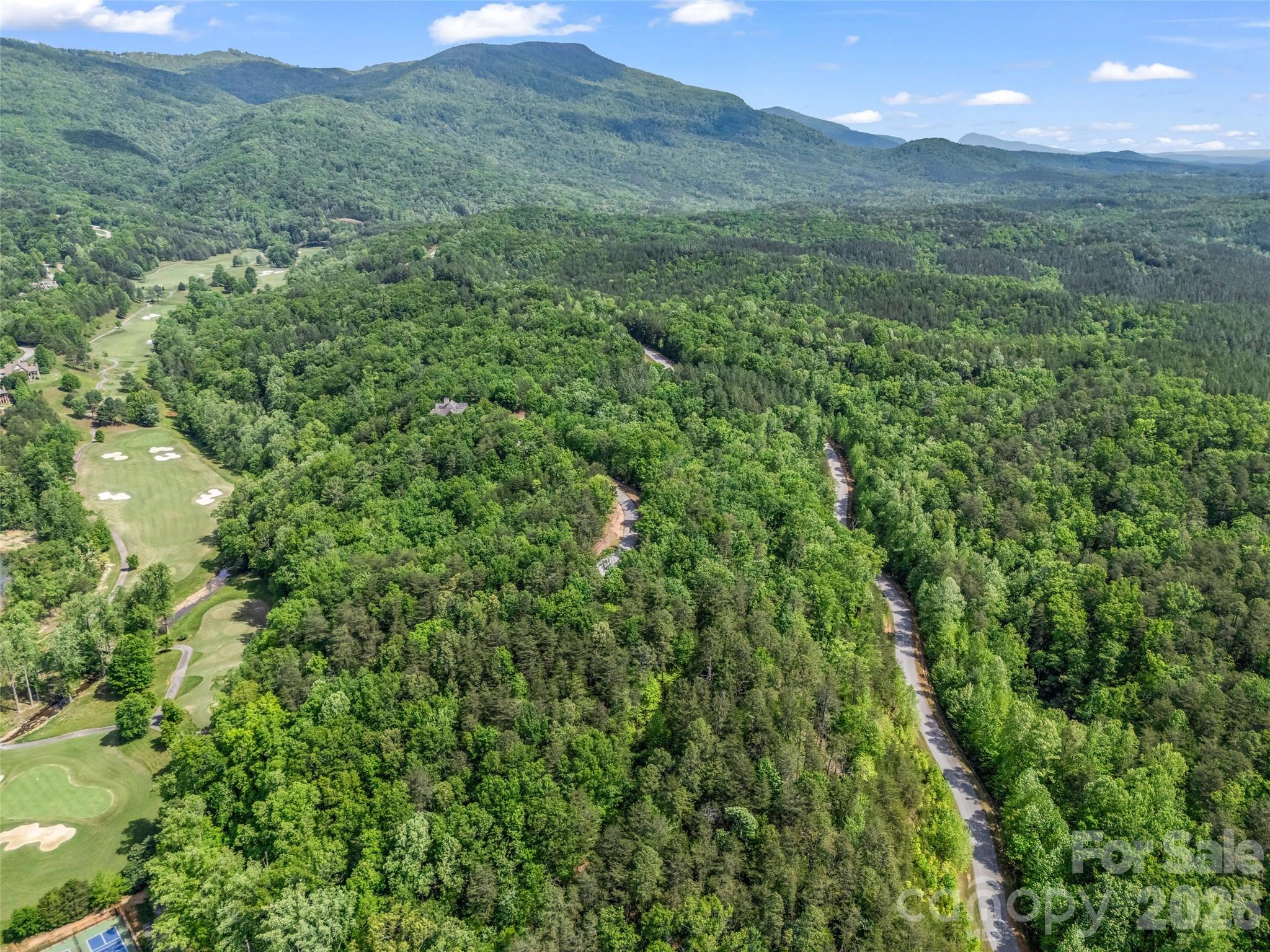 4 Woodward Drive Mill Spring NC 28756