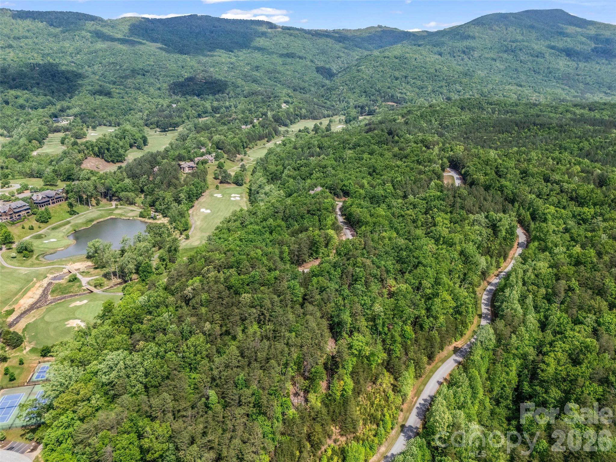 4 Woodward Drive Mill Spring NC 28756