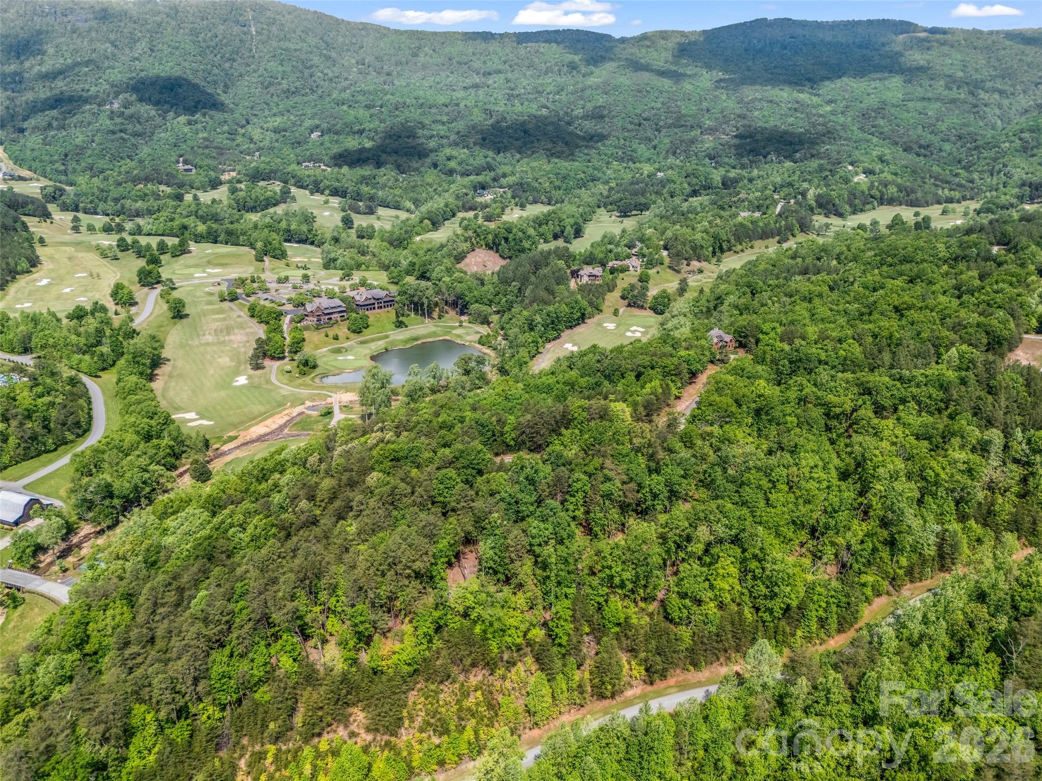 4 Woodward Drive Mill Spring NC 28756