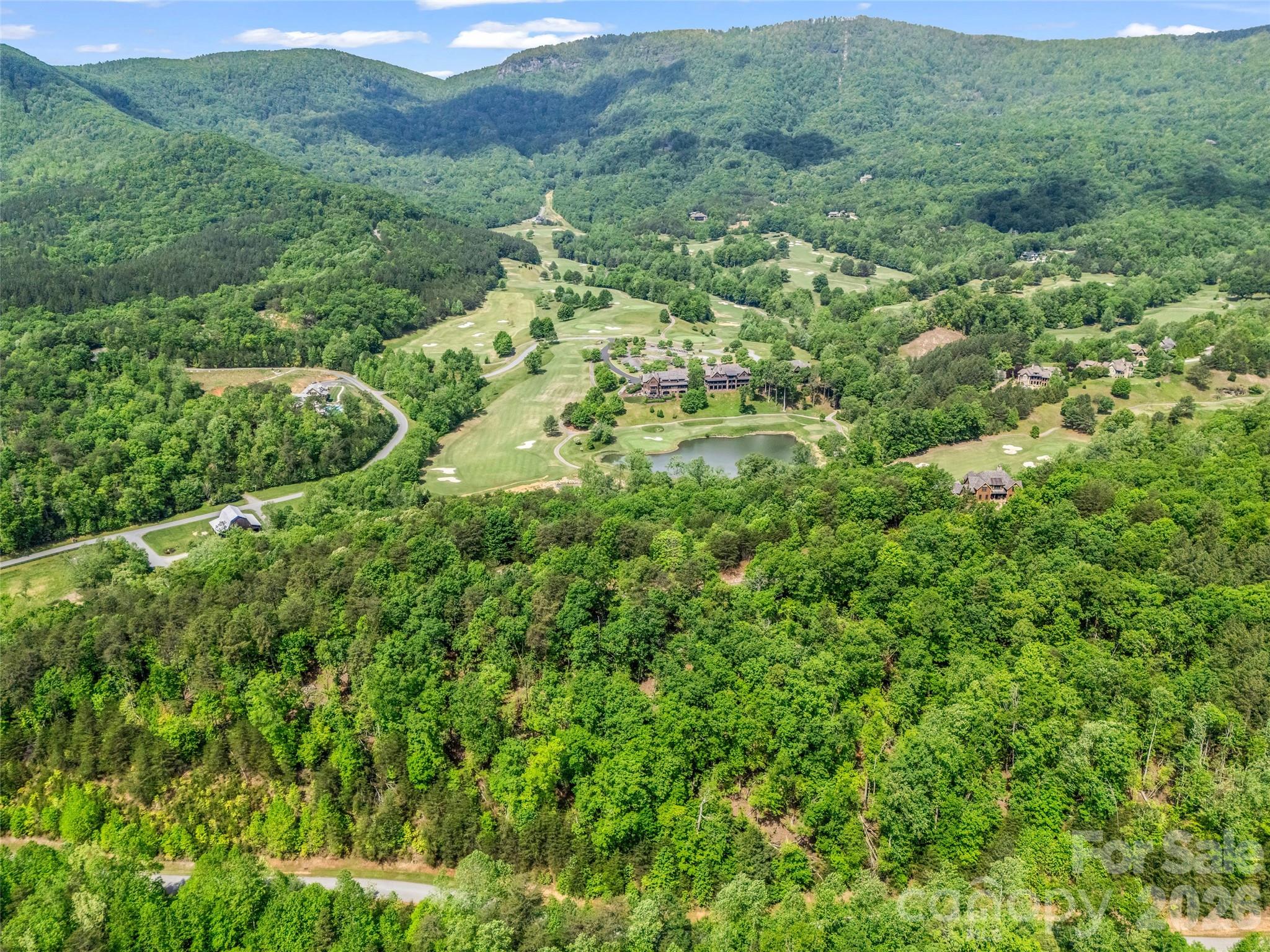 4 Woodward Drive Mill Spring NC 28756