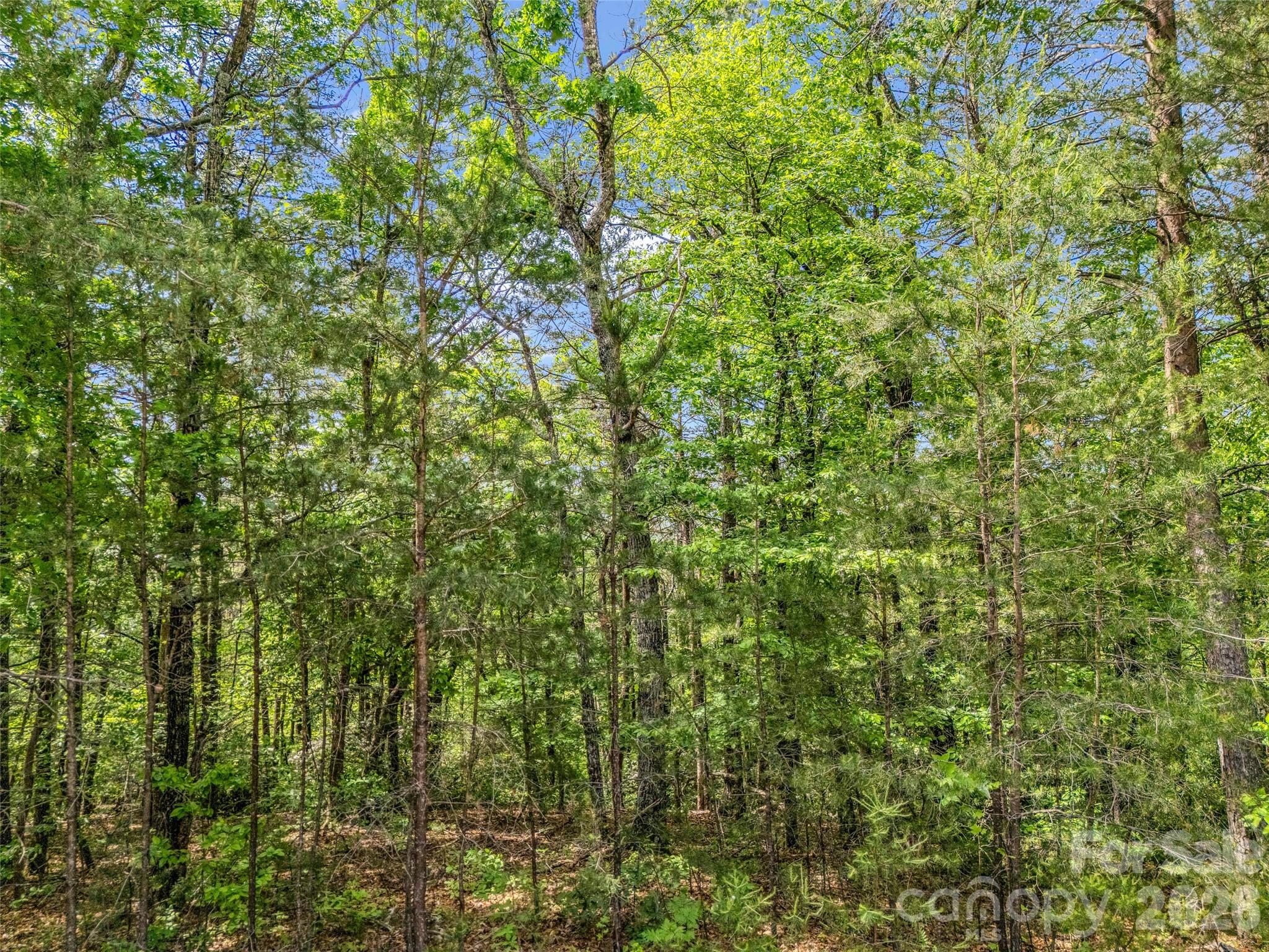 4 Woodward Drive Mill Spring NC 28756