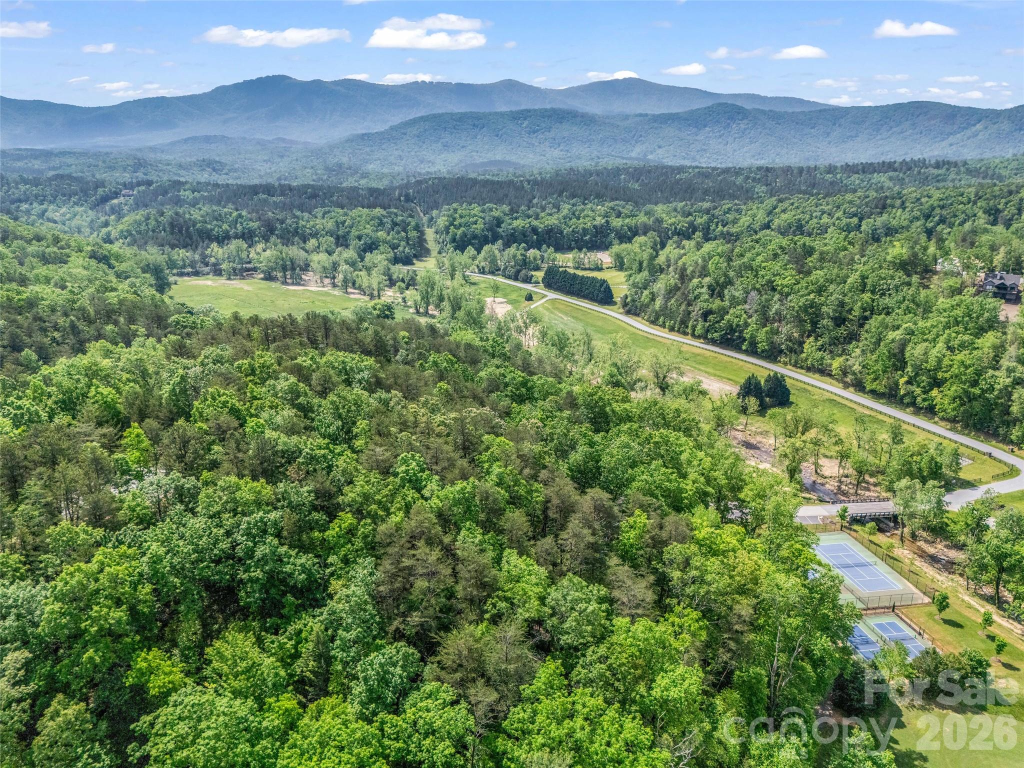 4 Woodward Drive Mill Spring NC 28756