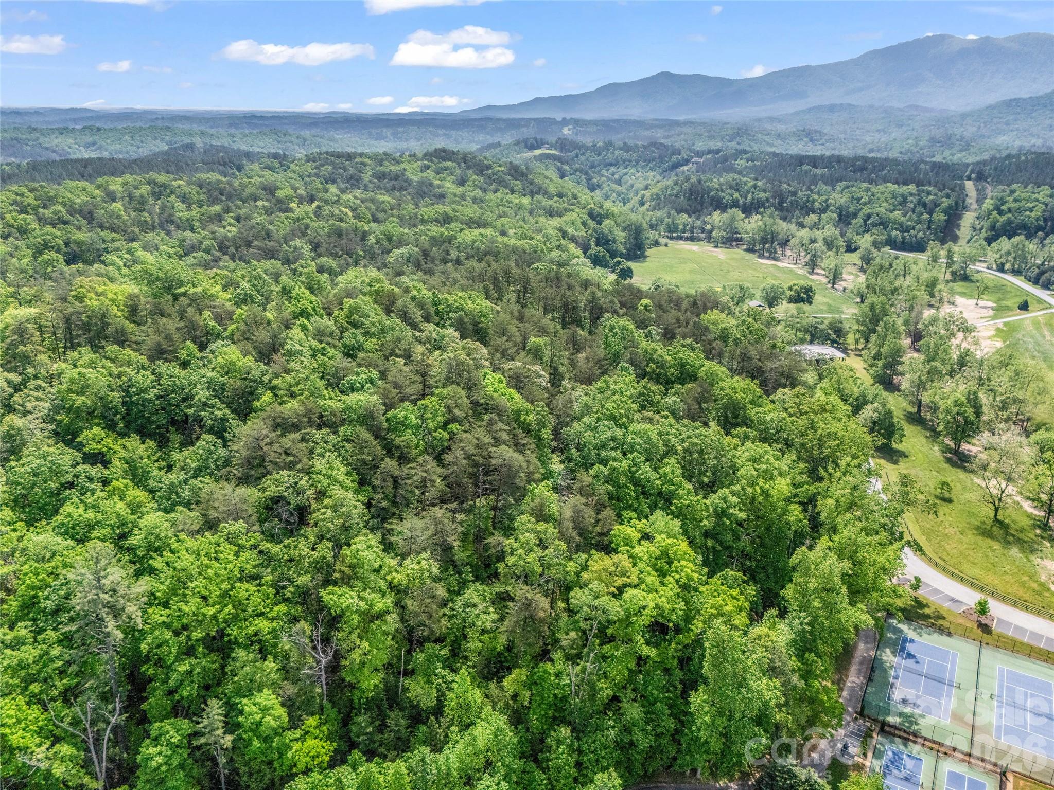 4 Woodward Drive Mill Spring NC 28756