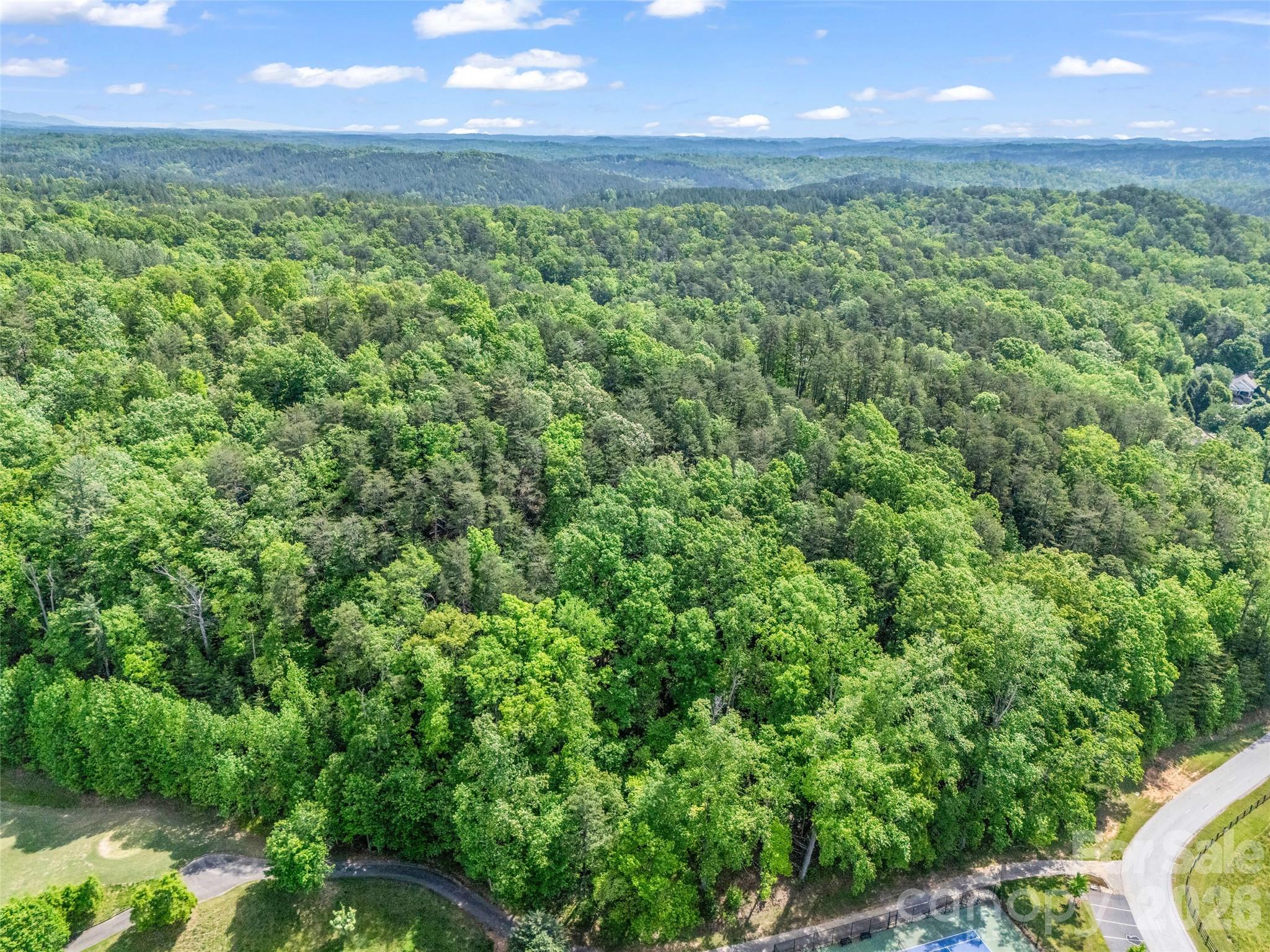4 Woodward Drive Mill Spring NC 28756