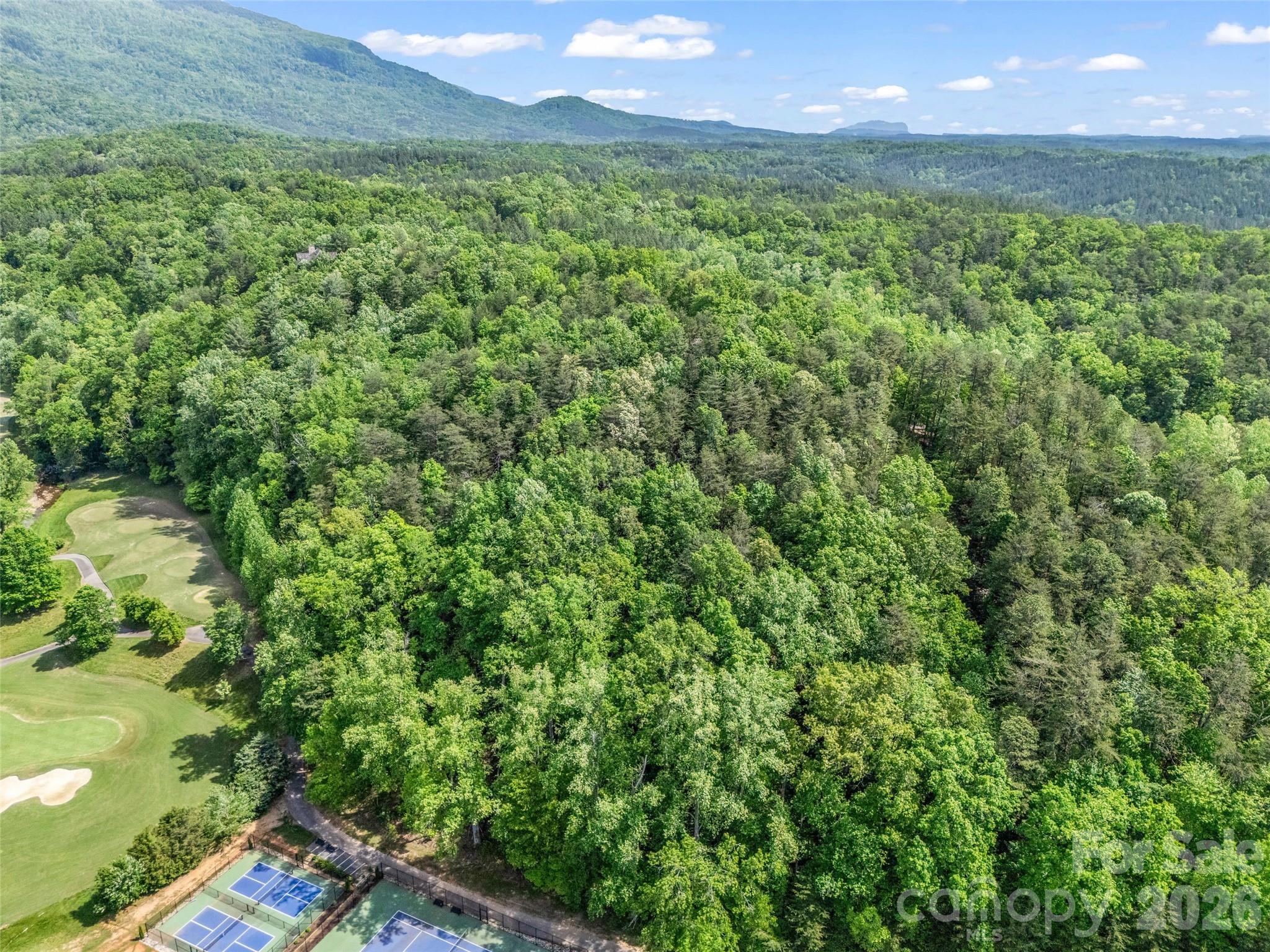4 Woodward Drive Mill Spring NC 28756