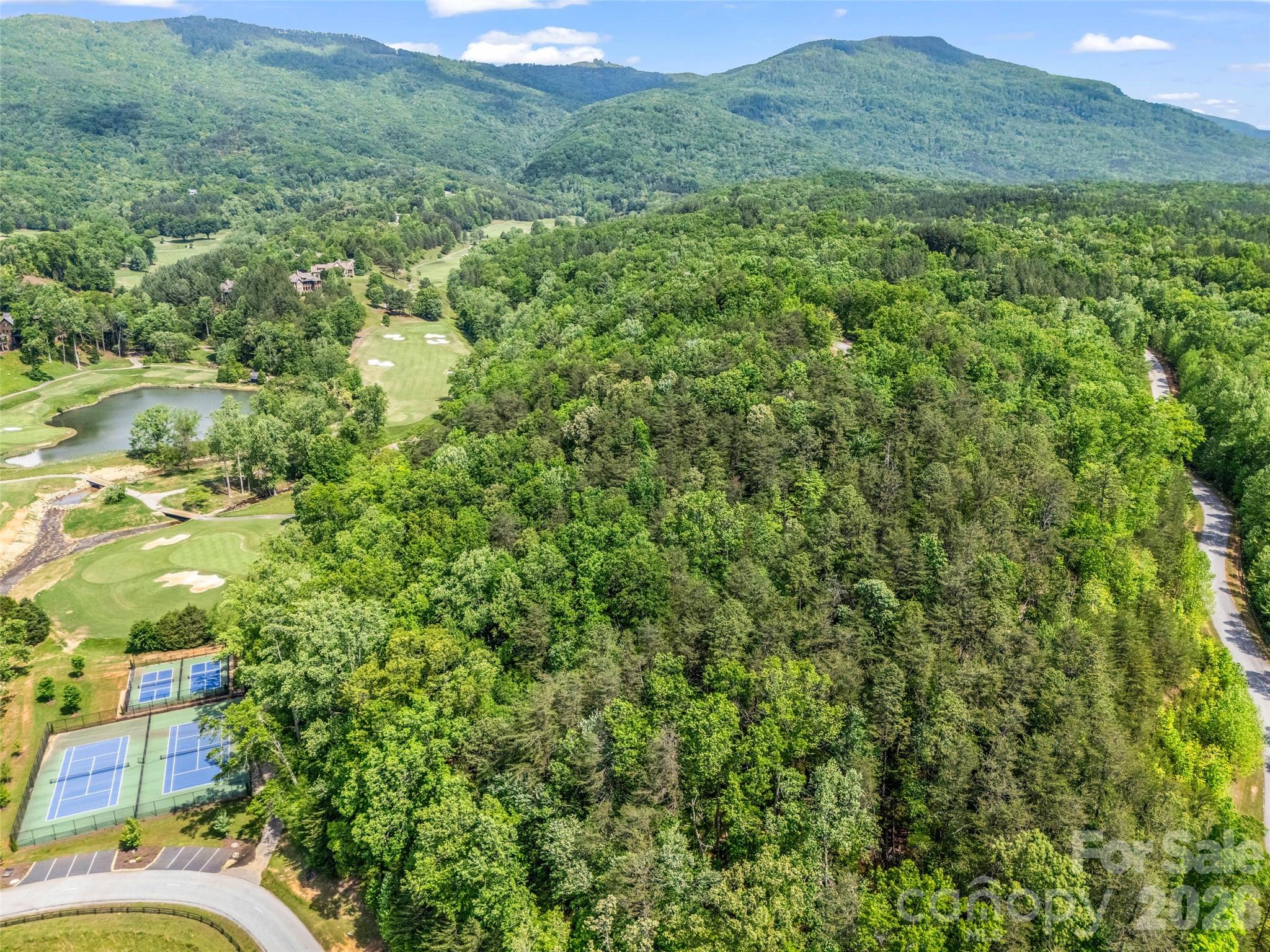 4 Woodward Drive Mill Spring NC 28756