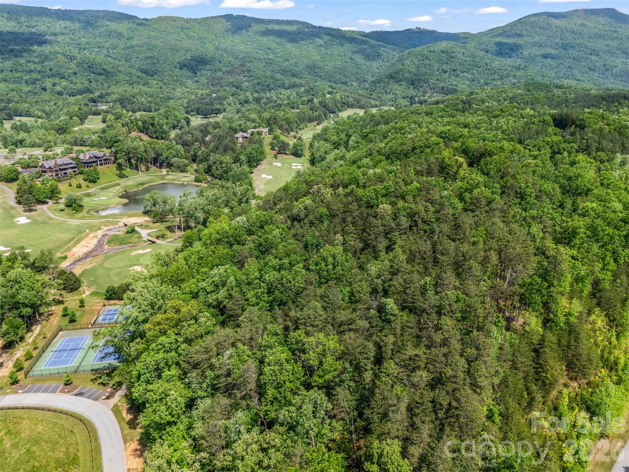 4 Woodward Drive Mill Spring NC 28756