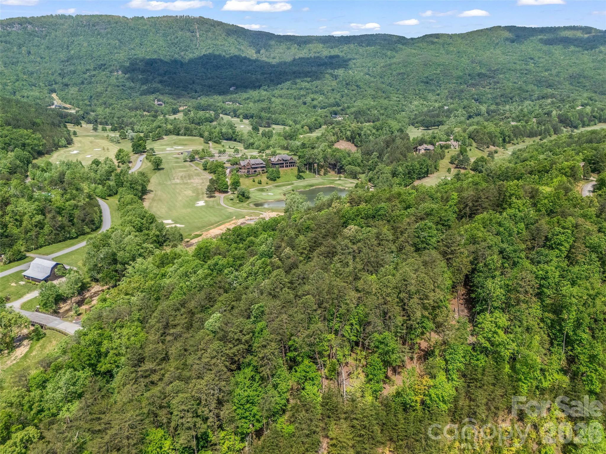 4 Woodward Drive Mill Spring NC 28756