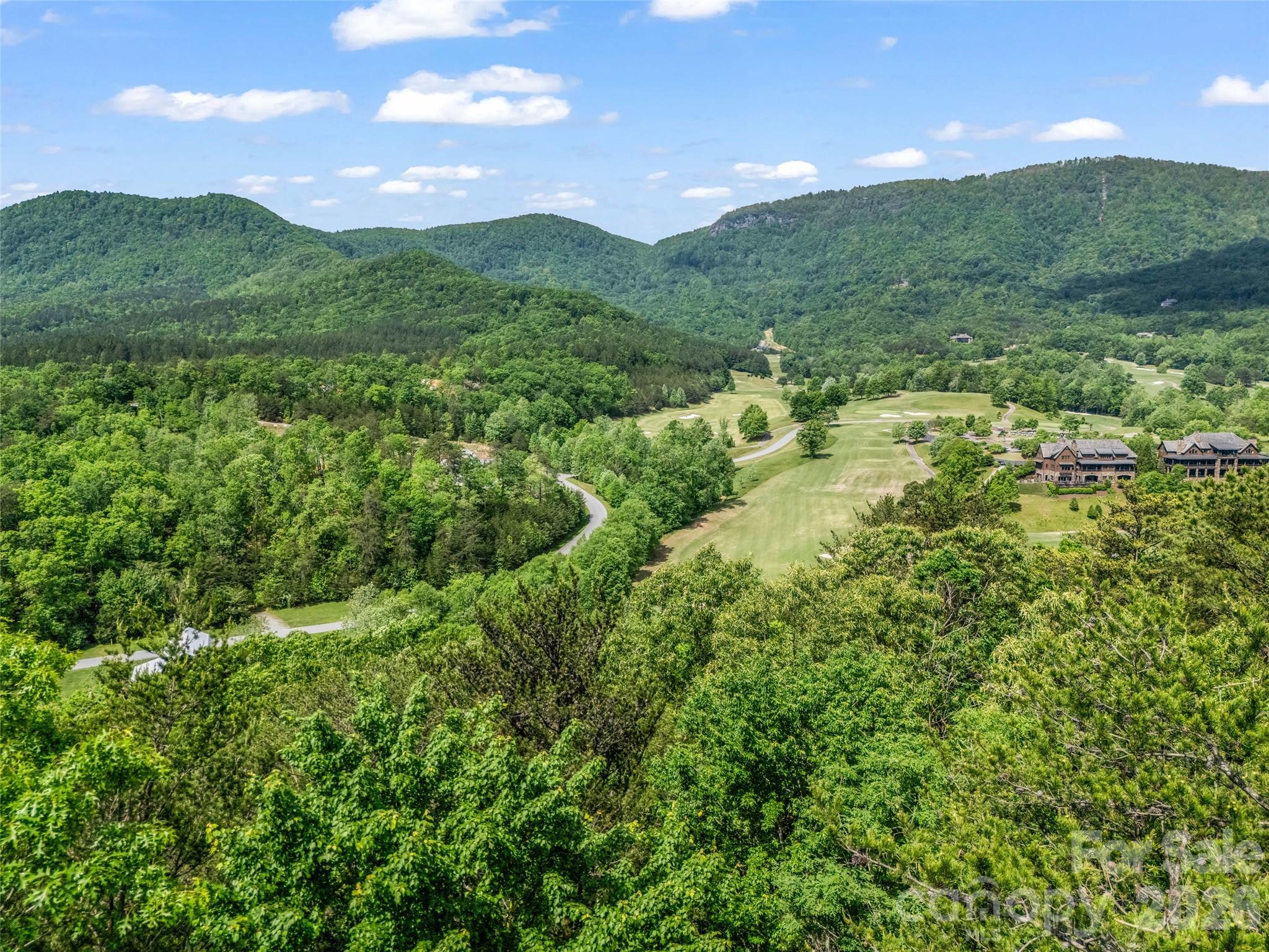 4 Woodward Drive Mill Spring NC 28756