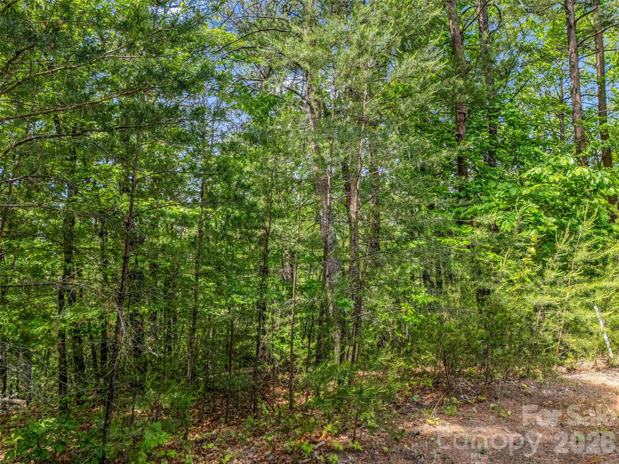 4 Woodward Drive Mill Spring NC 28756