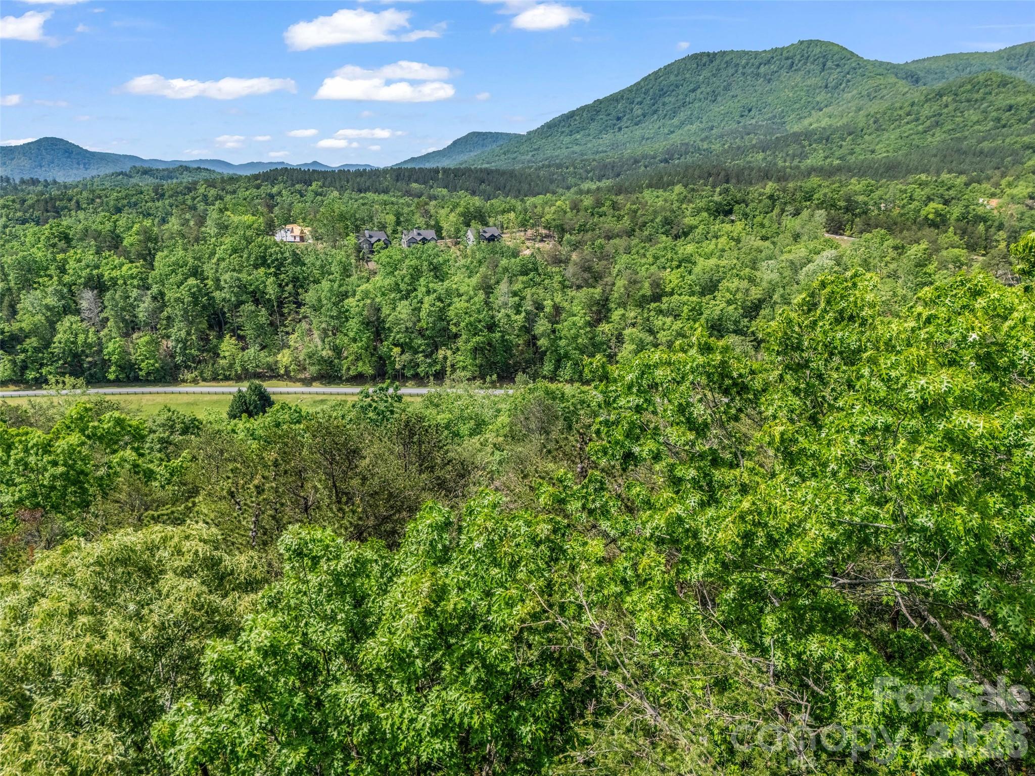4 Woodward Drive Mill Spring NC 28756