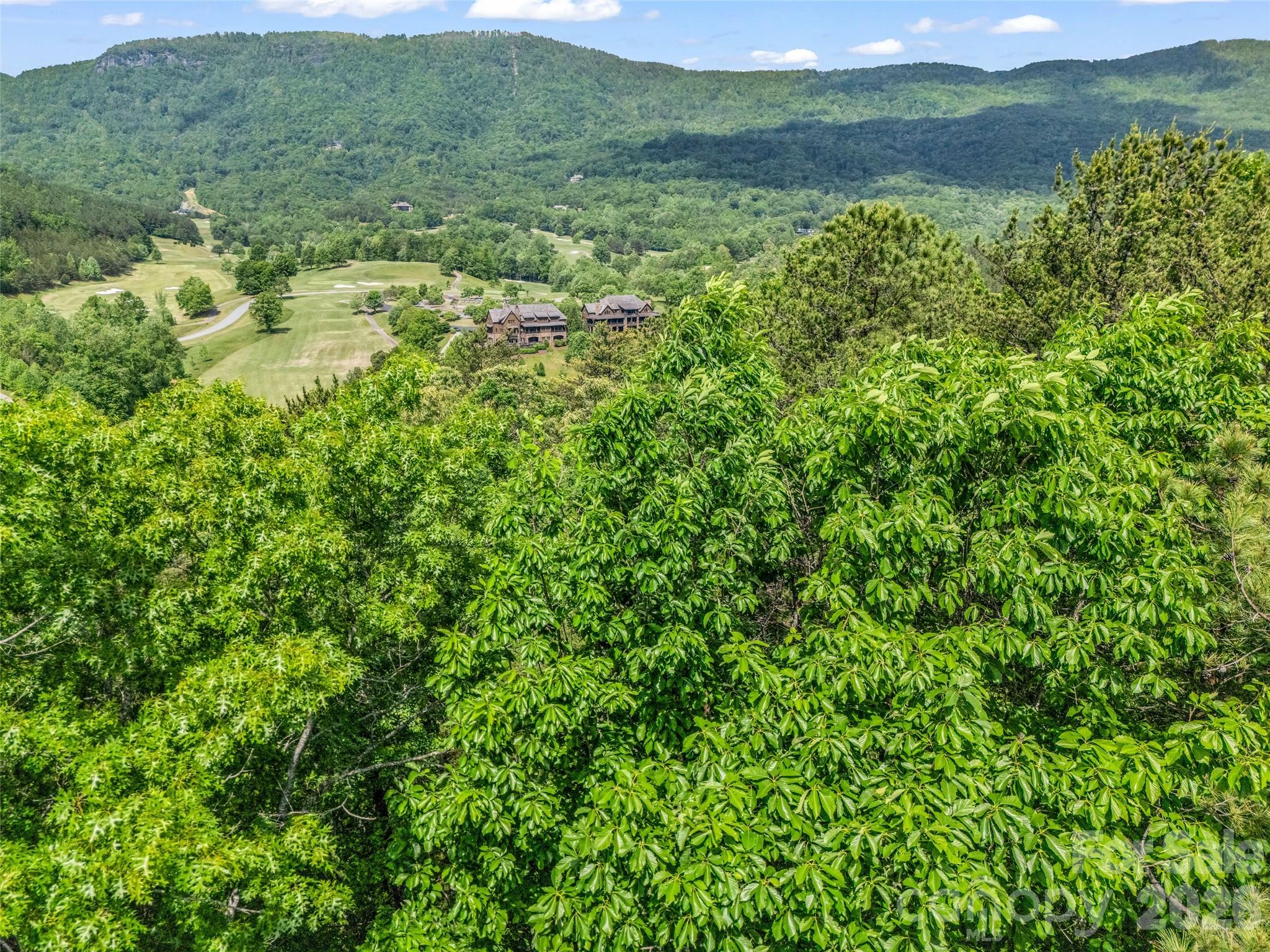 4 Woodward Drive Mill Spring NC 28756