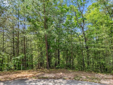 4 Woodward Drive Mill Spring NC 28756