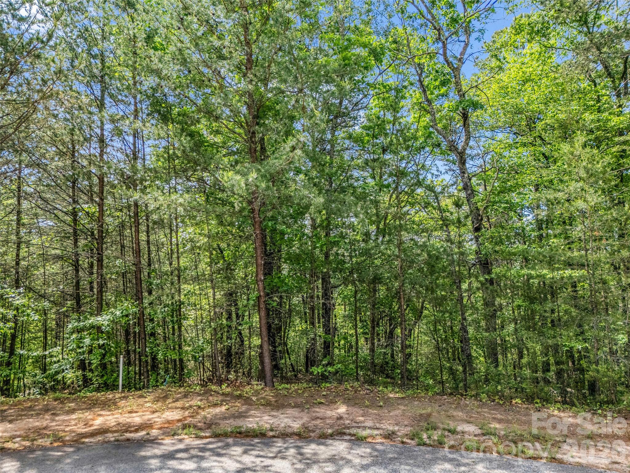 4 Woodward Drive Mill Spring NC 28756