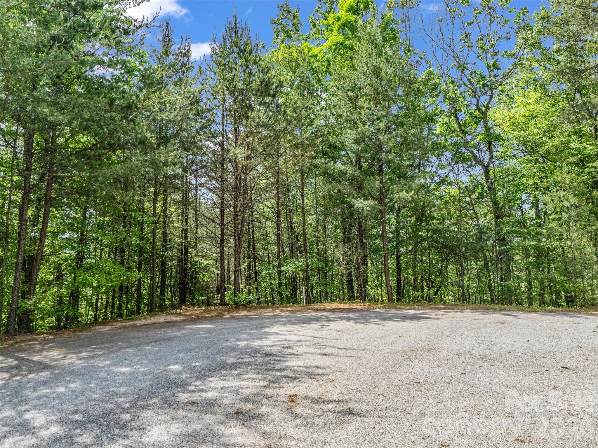 4 Woodward Drive Mill Spring NC 28756