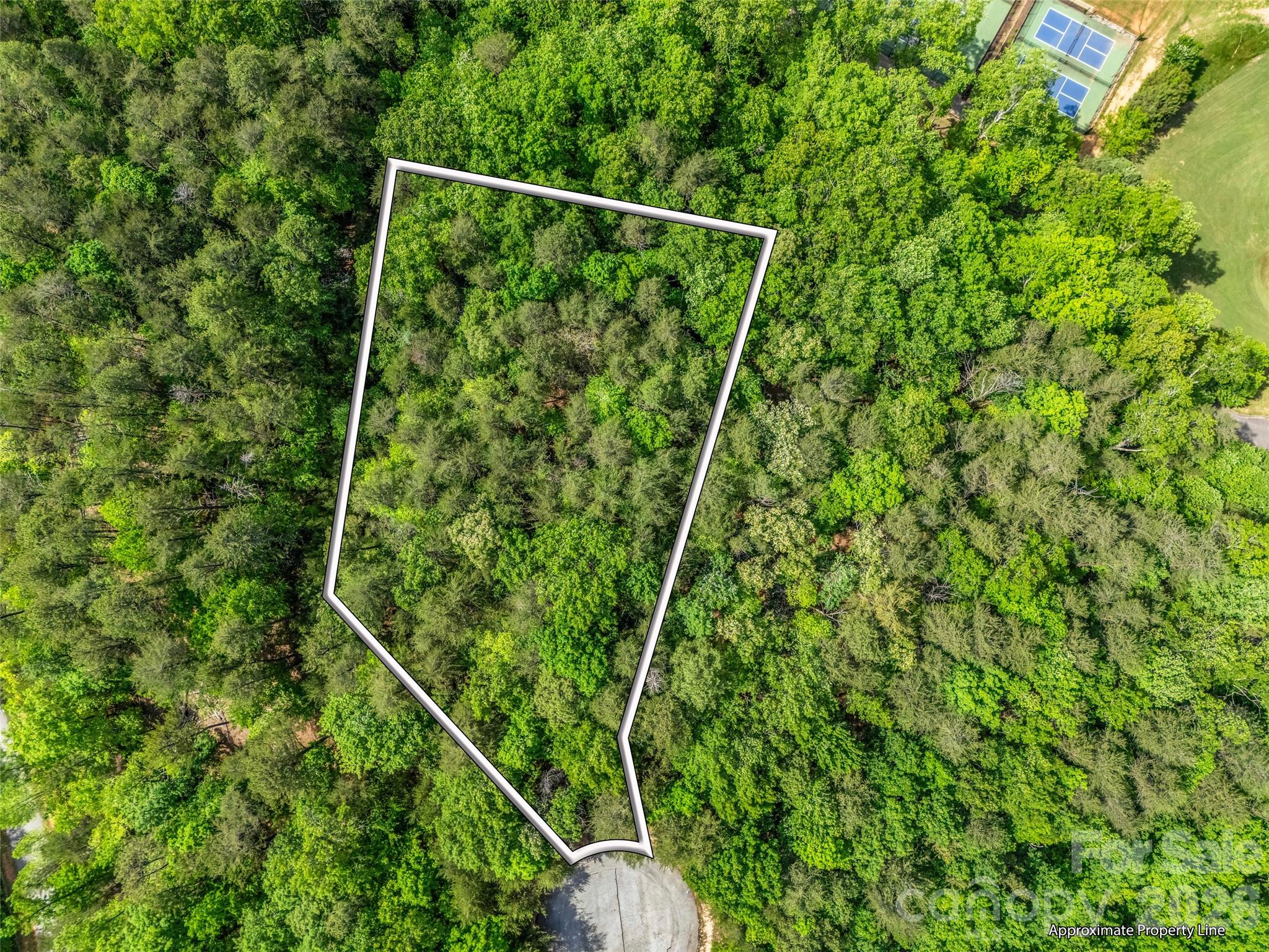 4 Woodward Drive Mill Spring NC 28756