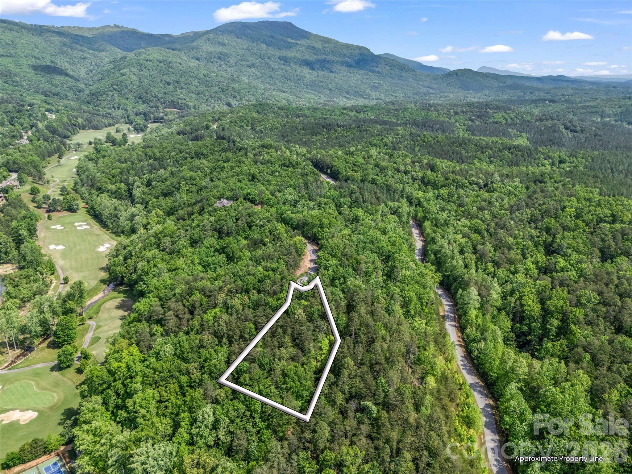 4 Woodward Drive Mill Spring NC 28756