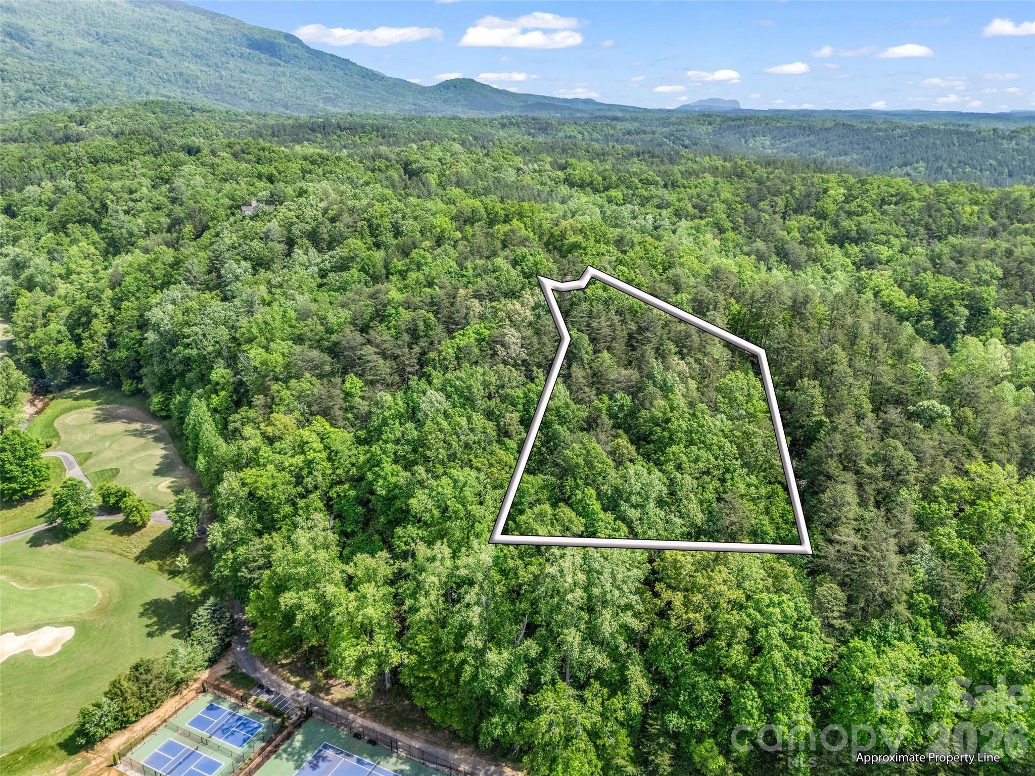 4 Woodward Drive Mill Spring NC 28756