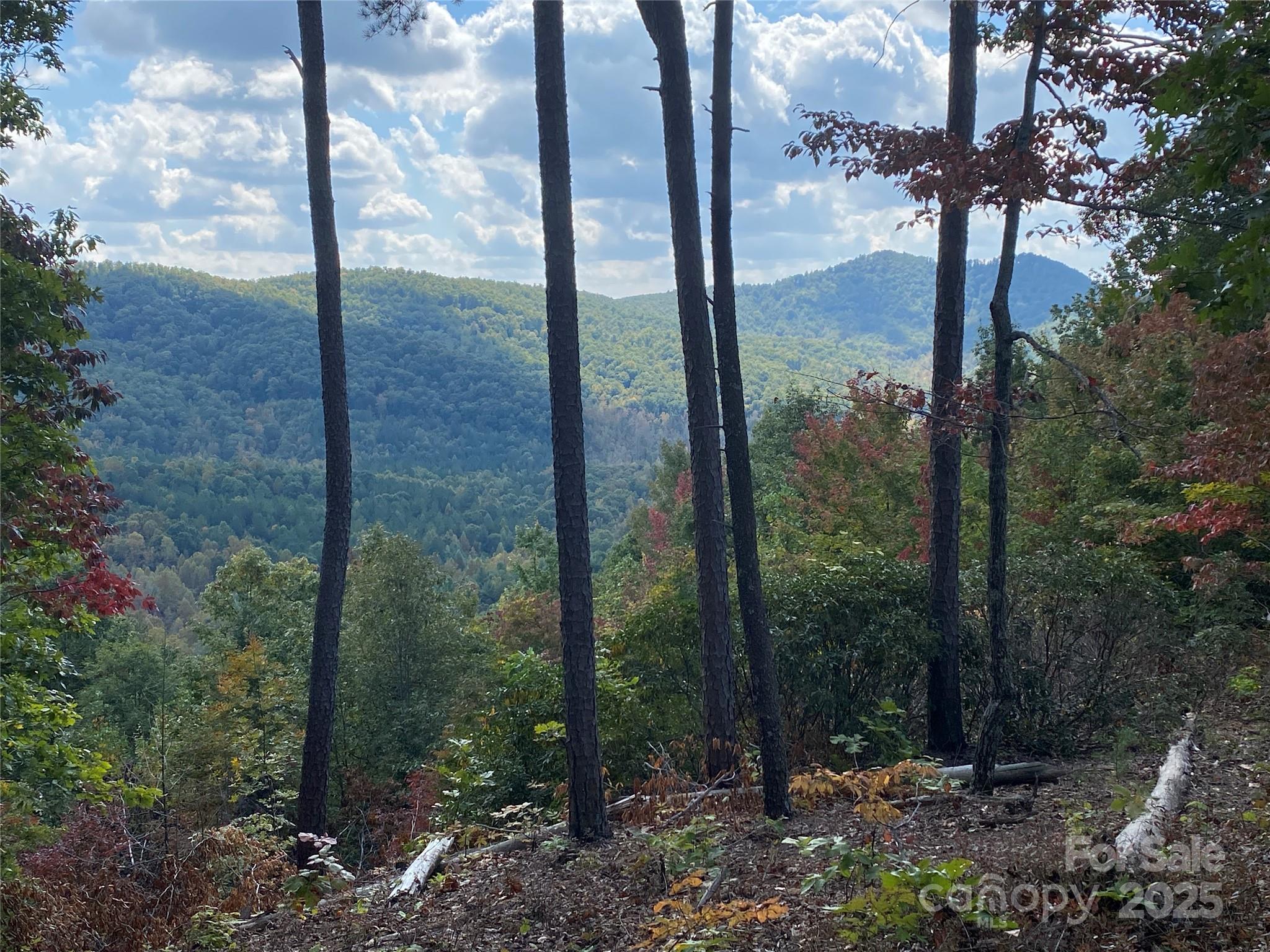 61 Scenic Vista Drive Nebo NC 28761