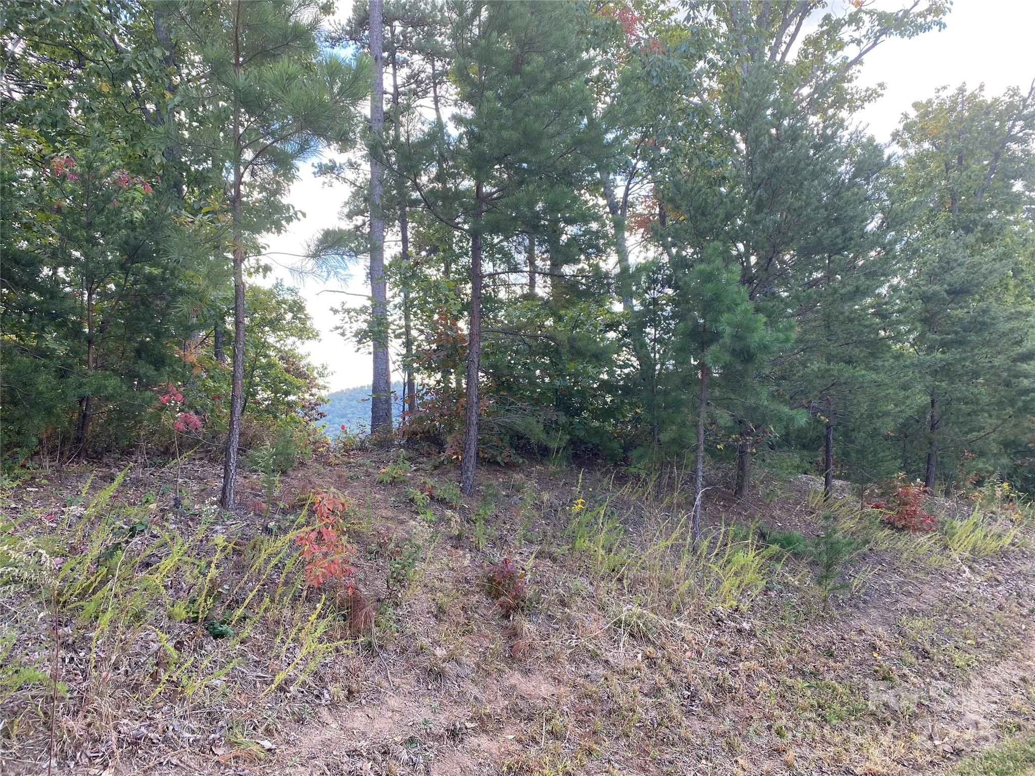 61 Scenic Vista Drive Nebo NC 28761