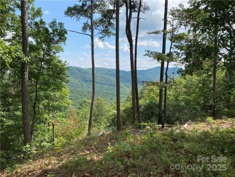 61 Scenic Vista Drive Nebo NC 28761
