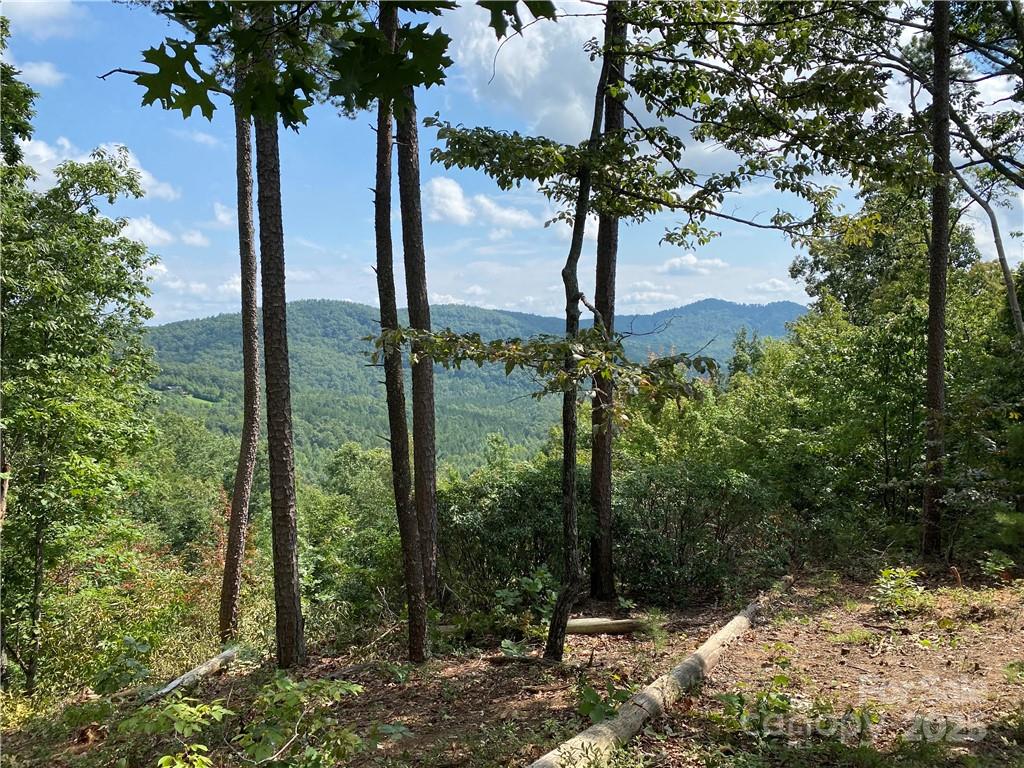 61 Scenic Vista Drive Nebo NC 28761