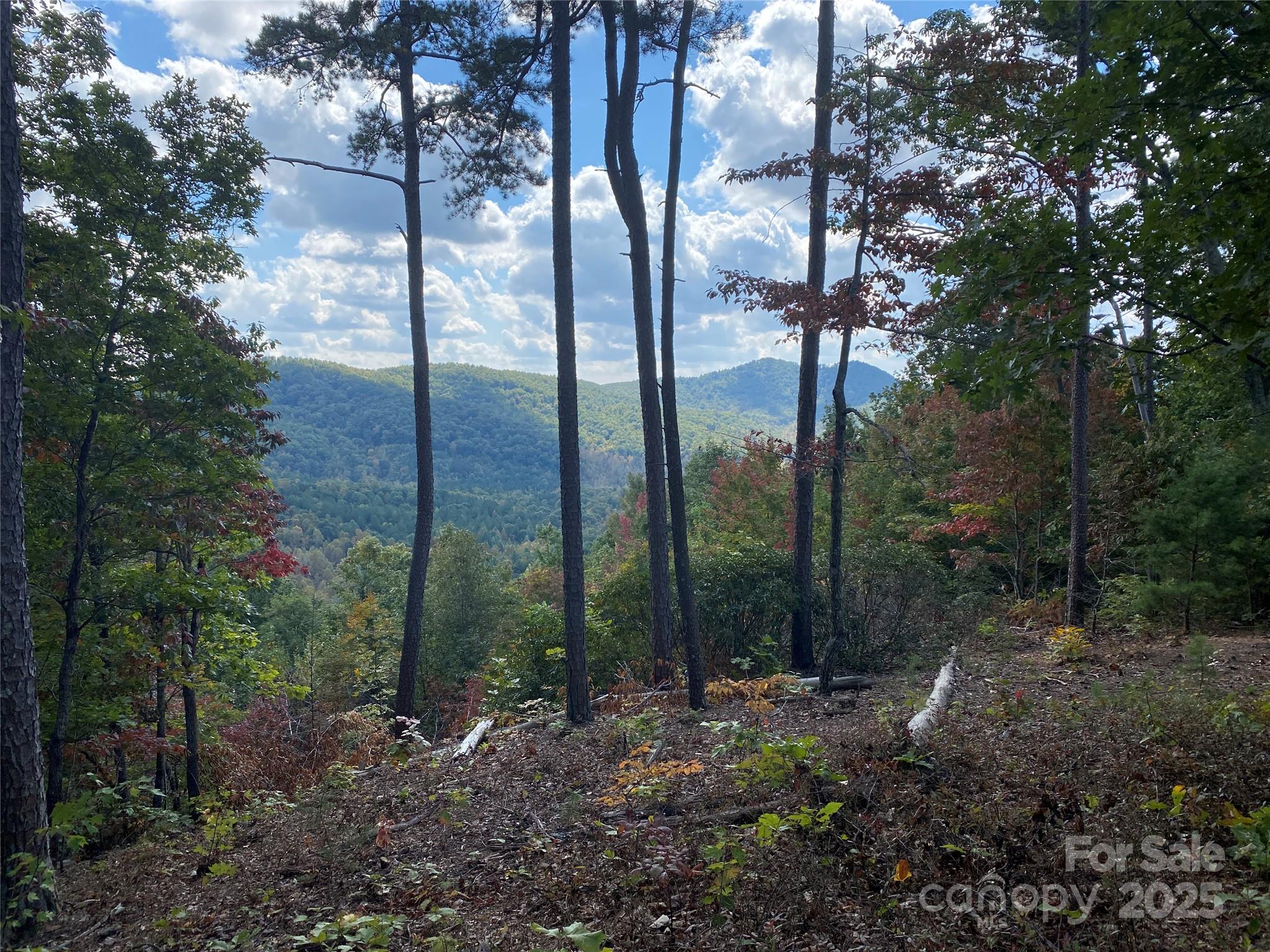 61 Scenic Vista Drive Nebo NC 28761