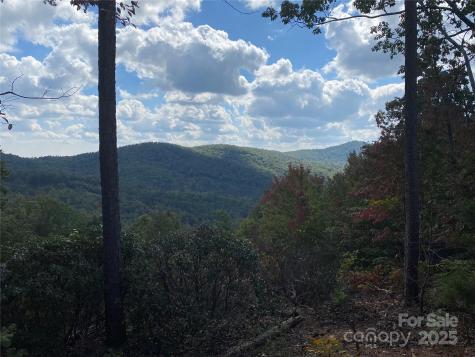 61 Scenic Vista Drive Nebo NC 28761