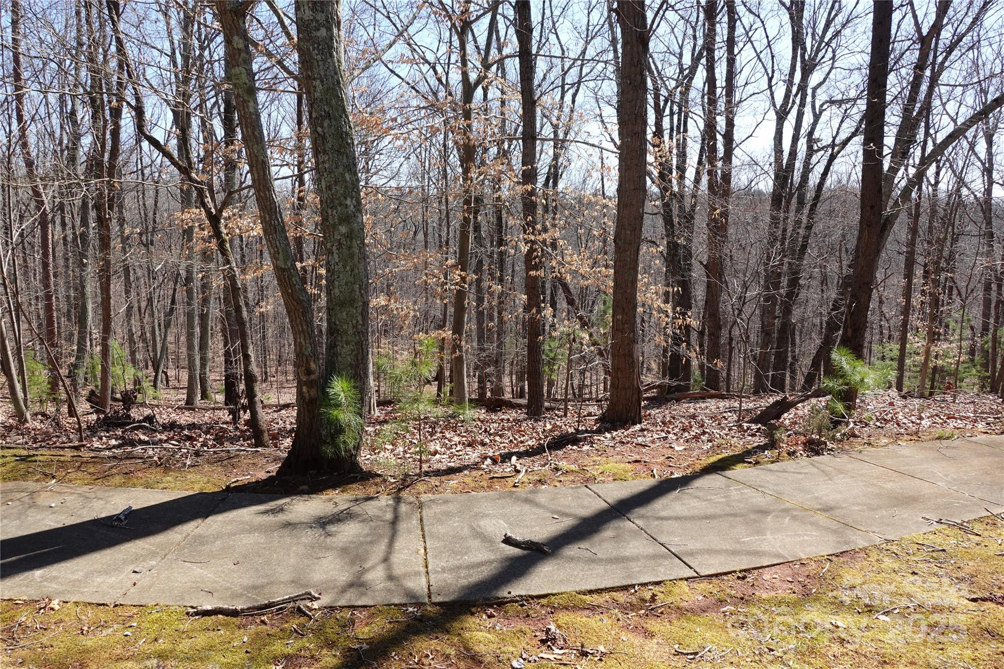 14427 Roe Buck Meadow Lane Charlotte NC 28278