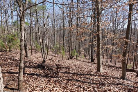 14427 Roe Buck Meadow Lane Charlotte NC 28278