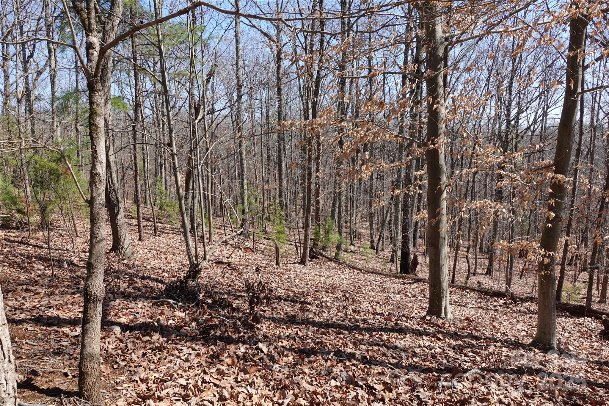 14427 Roe Buck Meadow Lane Charlotte NC 28278