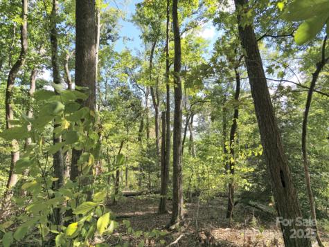 2921 Painters Gap Road Union Mills NC 28167