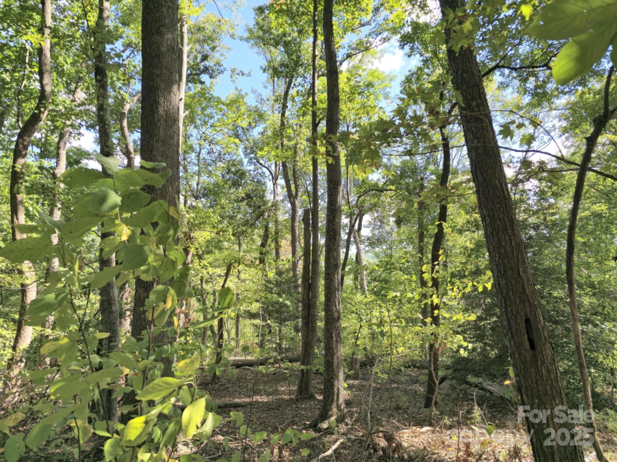 2921 Painters Gap Road Union Mills NC 28167