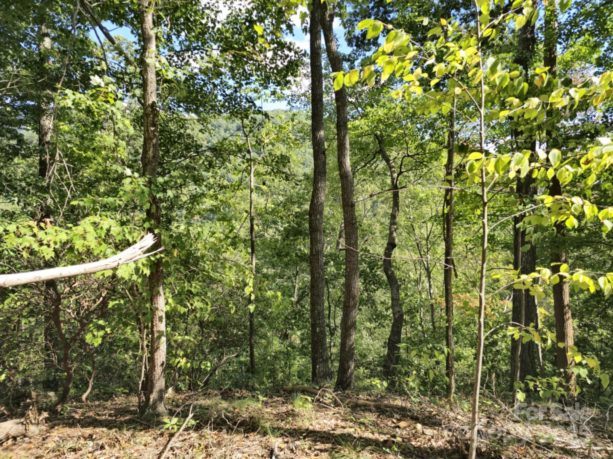 2921 Painters Gap Road Union Mills NC 28167