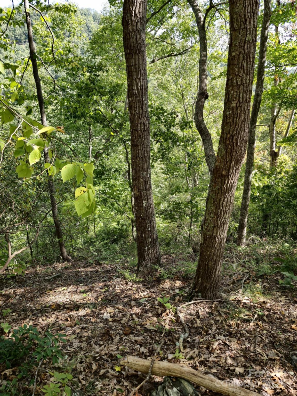 2921 Painters Gap Road Union Mills NC 28167