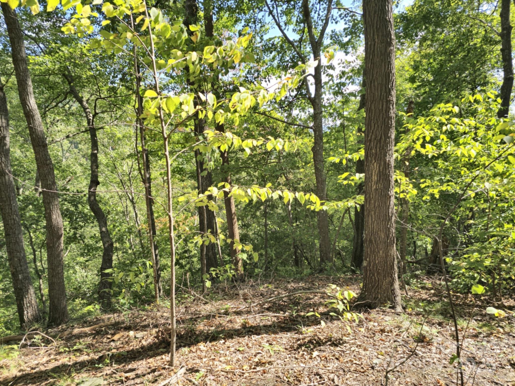 2921 Painters Gap Road Union Mills NC 28167