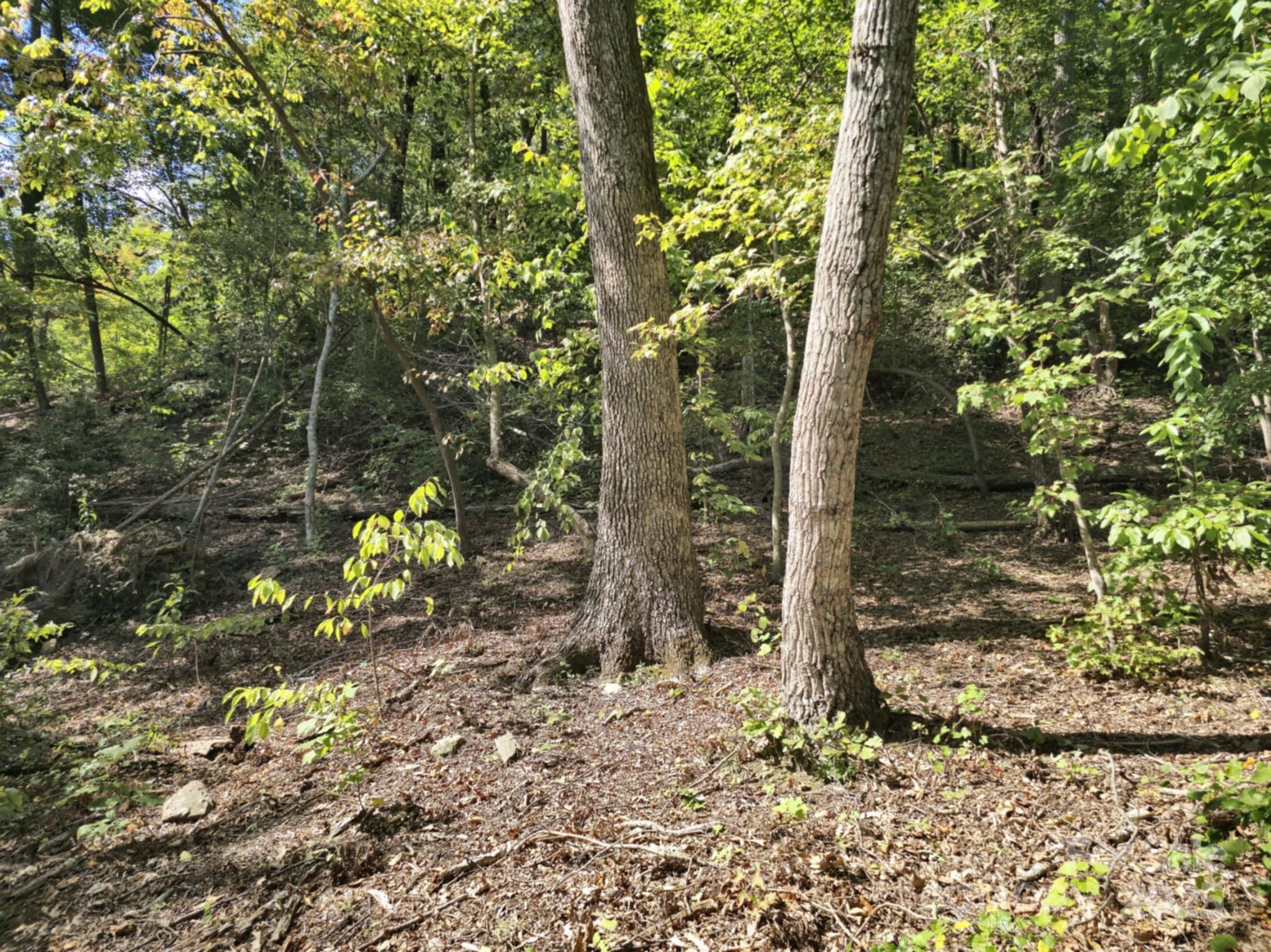 2921 Painters Gap Road Union Mills NC 28167