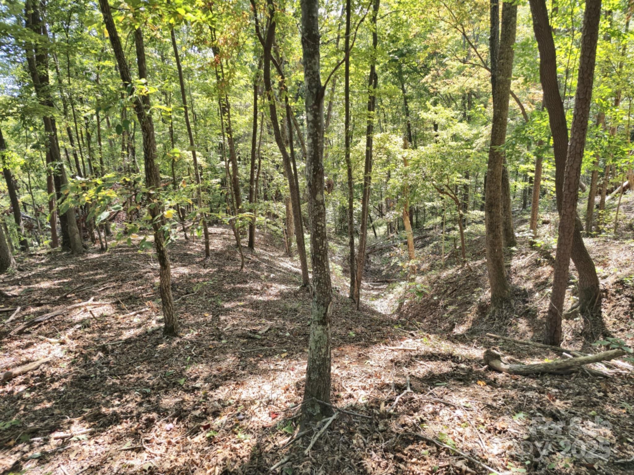 2921 Painters Gap Road Union Mills NC 28167