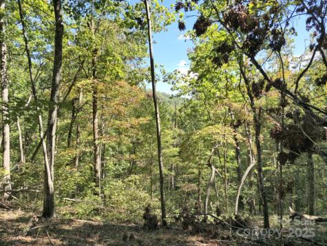 2921 Painters Gap Road Union Mills NC 28167
