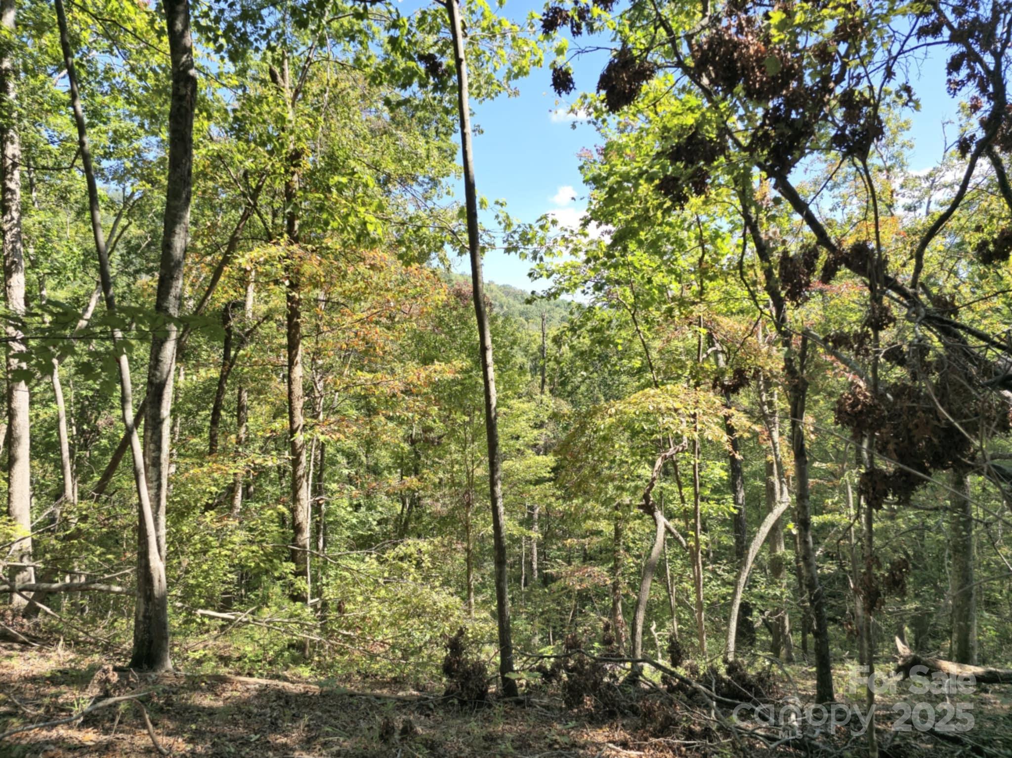 2921 Painters Gap Road Union Mills NC 28167