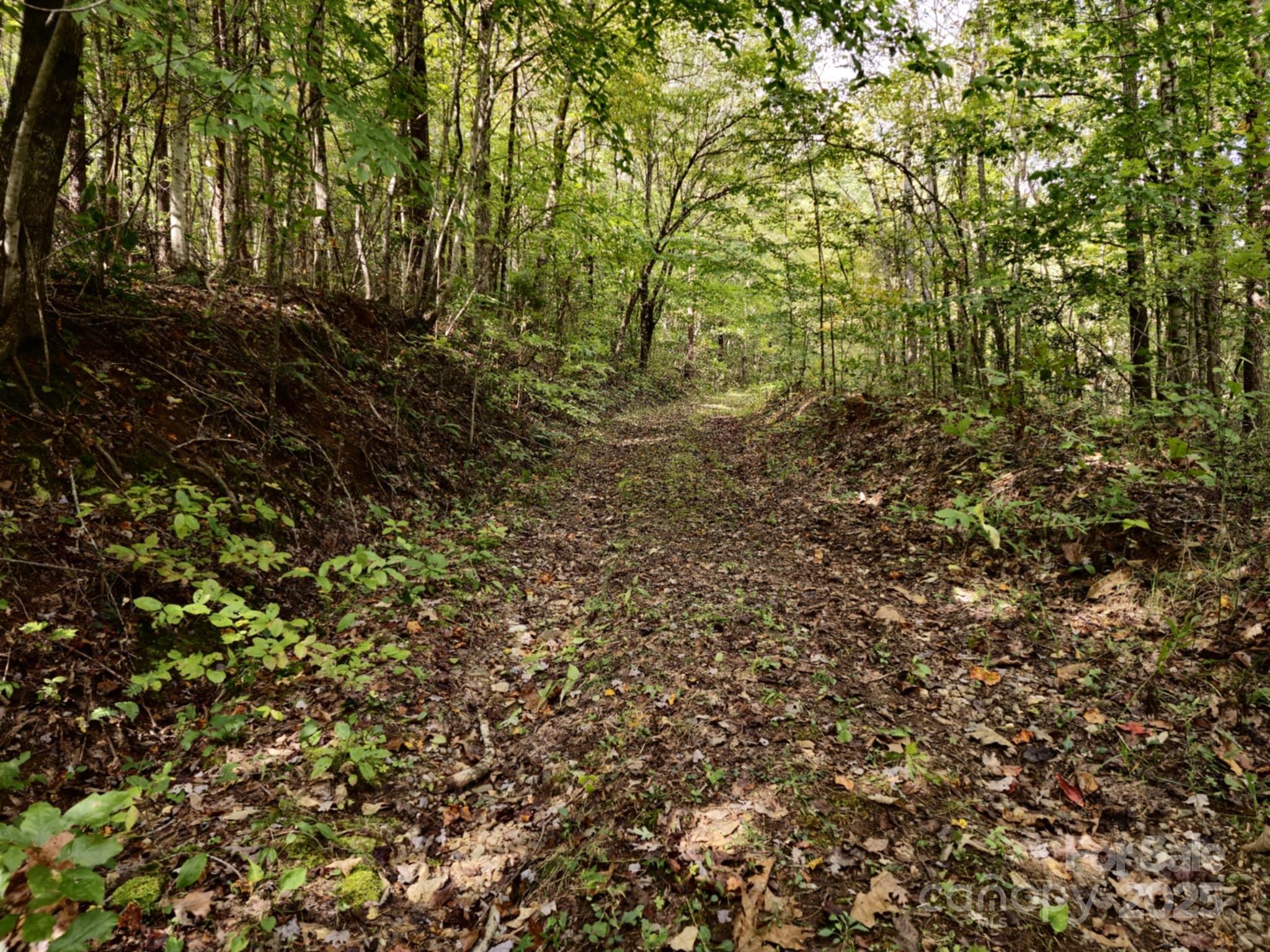 2921 Painters Gap Road Union Mills NC 28167